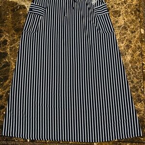 Robert Louis Striped Maxi Skirt in Blue and White